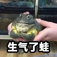 DƬ